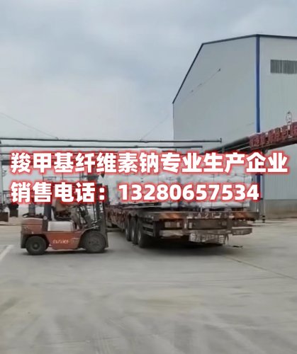 羧甲基纖維素鈉是一種重要的功能性化合物，在某些特定條件下不溶于乙醇。本文全面解析羧甲基纖維素鈉的特性、不溶性原因及其廣泛的應(yīng)用領(lǐng)域。了解更多有關(guān)羧甲基纖維素鈉的知識，盡在本文！