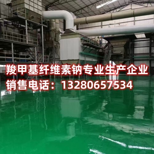 想了解羧甲基纖維素鈉在耐酸和高粘特性方面的優(yōu)勢嗎？本文深入探討其應(yīng)用領(lǐng)域和特點(diǎn)，揭示其在不同領(lǐng)域中的價(jià)值。