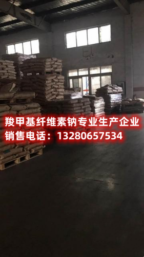探索科技前沿，了解新型羧甲基纖維素鈉的獨(dú)特特性與技術(shù)創(chuàng)新。本文深入解析其在不同應(yīng)用領(lǐng)域的前景，揭示羧甲基纖維素鈉為纖維素衍生物領(lǐng)域帶來的引人矚目的革新之路。