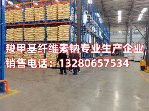 深入探討羧甲基纖維素鈉和硅酸鈉的性能特點(diǎn)，解析其在不同領(lǐng)域的廣泛應(yīng)用。通過對(duì)比兩者的功能和應(yīng)用，為您呈現(xiàn)出最新的科技發(fā)展趨勢(shì)與行業(yè)前沿信息。